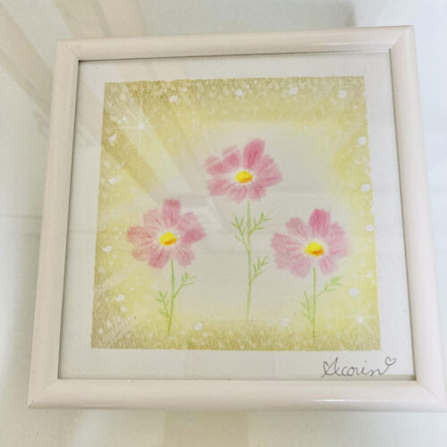 あこりん - 光輝く秋桜