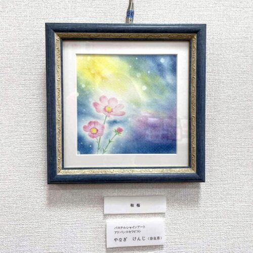 やなぎけんじ - 秋桜