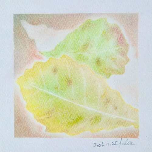 水野優子 ゆりあ - かしわ 秋色②