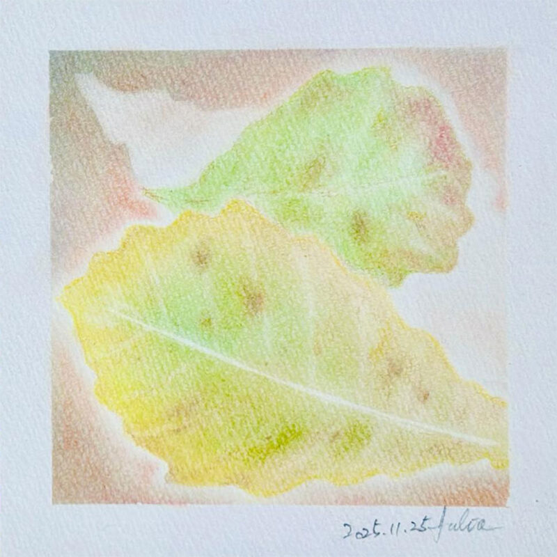 水野優子 ゆりあ - かしわ 秋色②