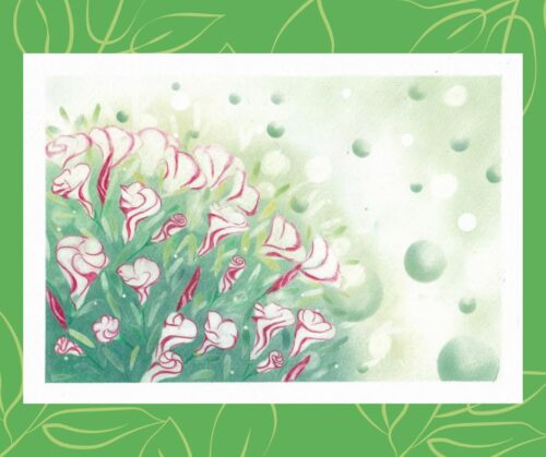 佐藤由紀 - オキザリス