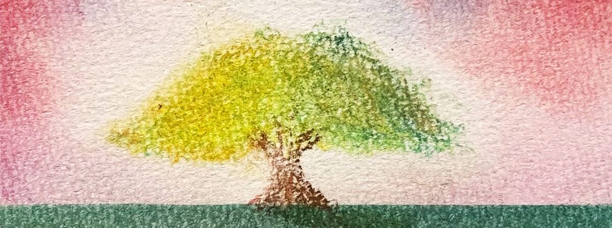 岡真由美【vanliga-ljus】